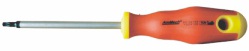 torx-screwdriver