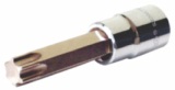 12-socket-torx-bit