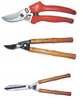 pruning-shear